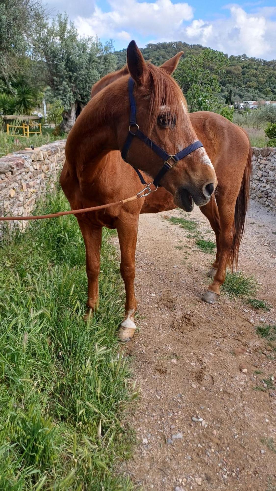 Agroturismo Casas De Santa Rita